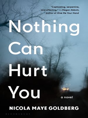 cover image of Nothing Can Hurt You